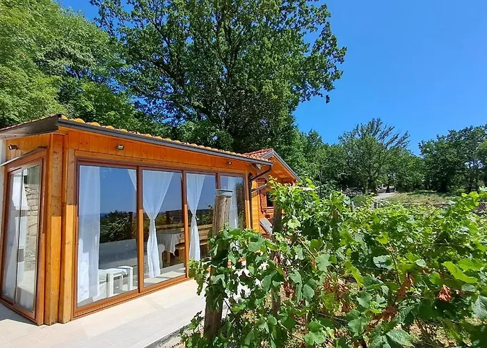 Vineyard House * Grižane