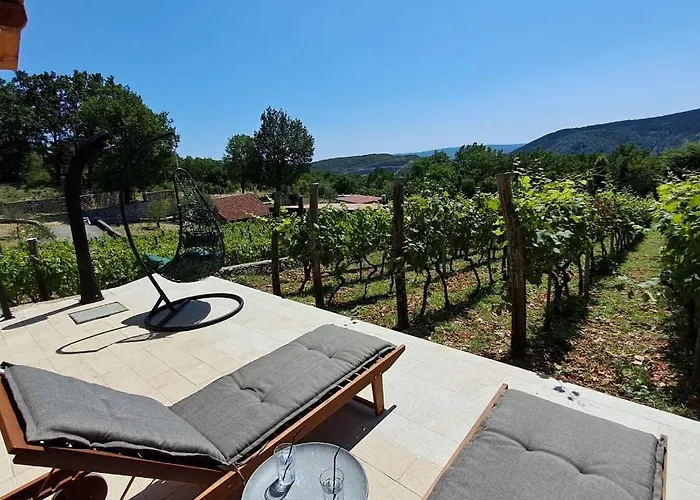 Vineyard House Case de vacanță *